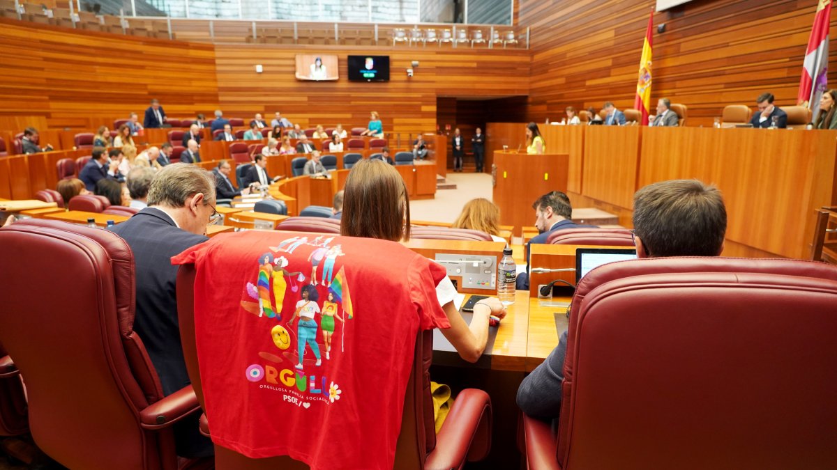 La procuradora socialista Laura Pelegrina con una camiseta del 'orgullo' en la segunda sesión del Pleno de las Cortes de Castilla y León.- ICAL