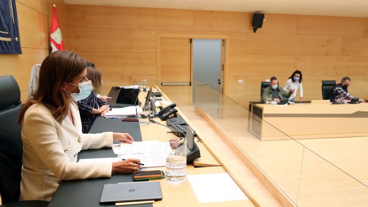 La consejera de Empleo e Industria, Ana Carlota Amigo, comparece en la Comisión de Empleo e Industria en las Cortes. - ICAL