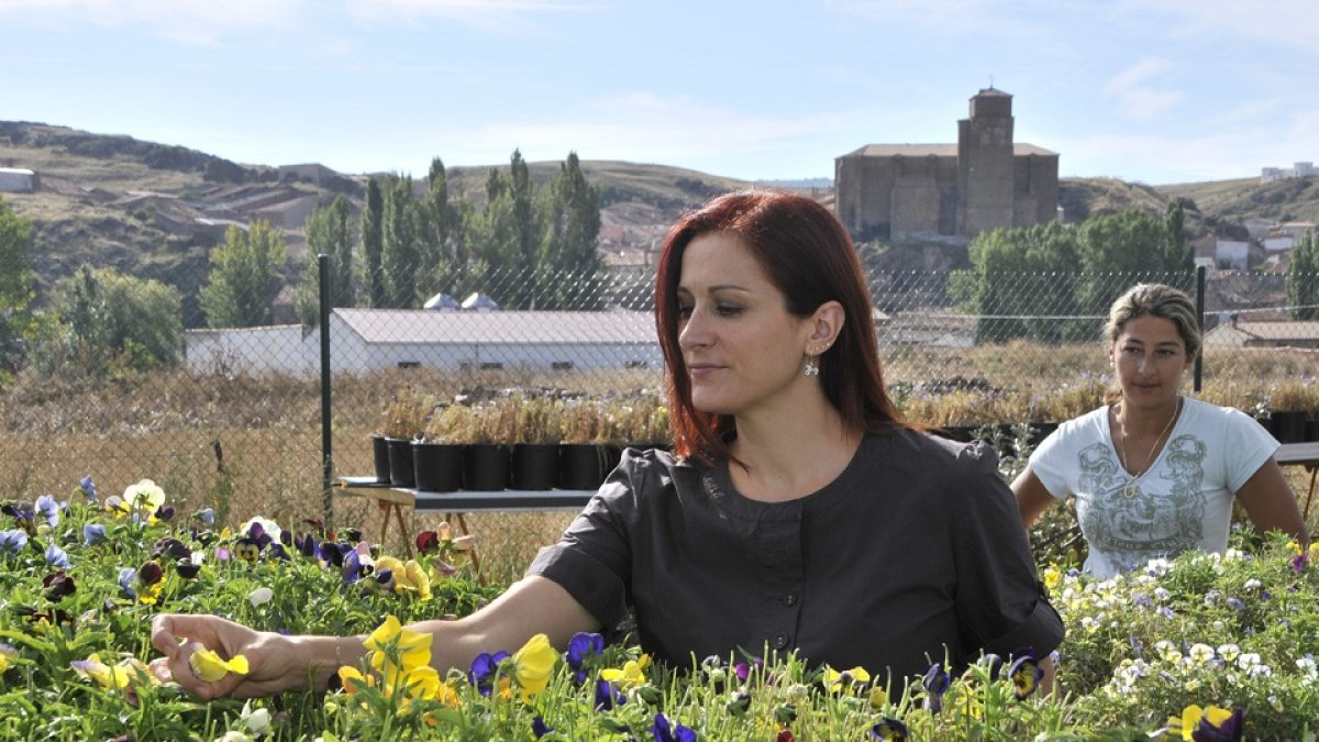 La olvegueña Laura Carrera García, en su invernadero de Borobia. / valentín guisande