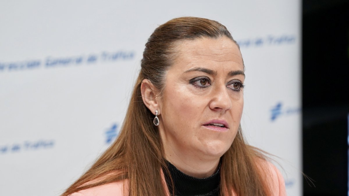 La delegada del Gobierno en Castilla y León, Virginia Barcones, durante la rueda de prensa. ICAL