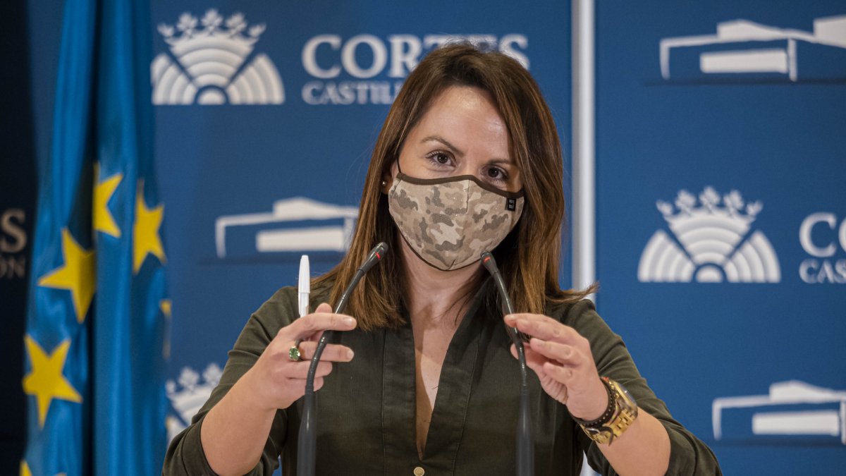 La viceportavoz del Grupo Parlamentario Socialista, Patricia Gómez, en una imagen de archivo. ICAL