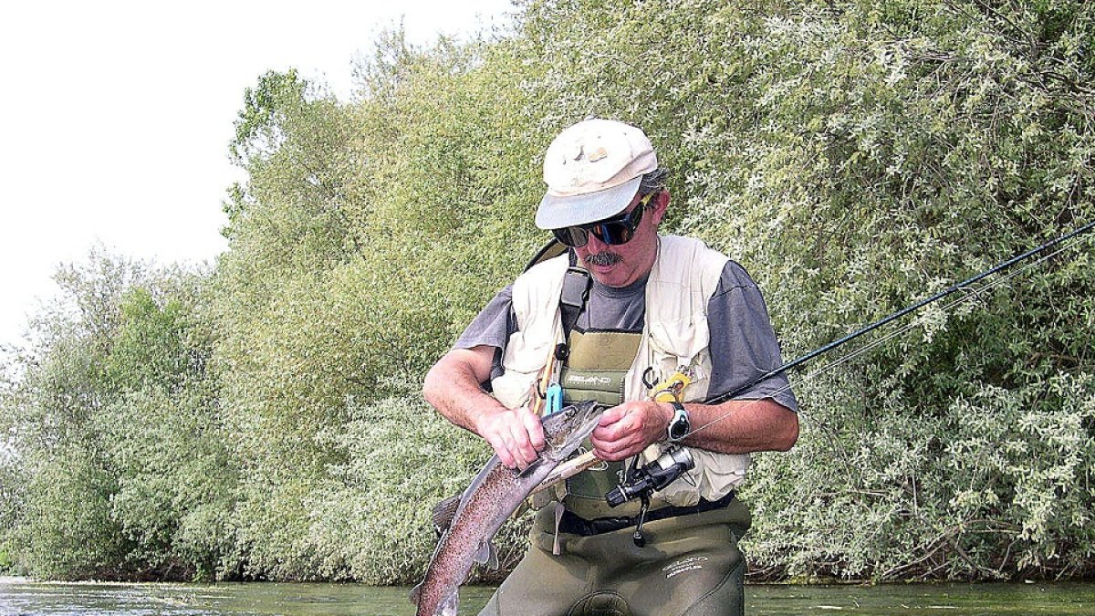 Un pescador libera un pequeño hucho en el coto salmantino de Villagonzalo II. - L. FUENTE
