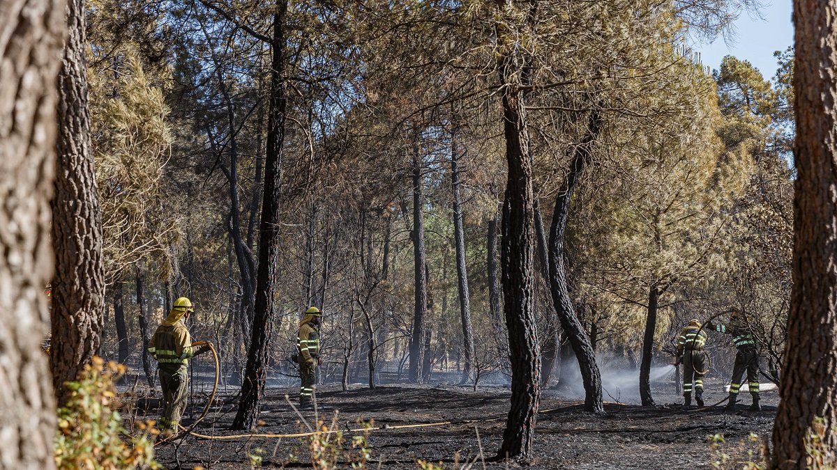 Incendio en Cuéllar. - ICAL