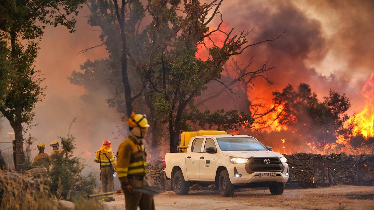Incendio en Roelos de Sayago. - ICAL