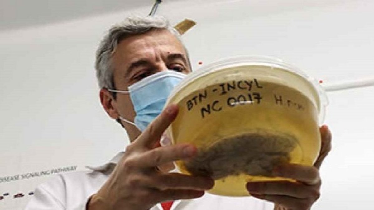 Javier Herrero, director del Banco de Tejidos Neurológicos ubicado en Salamanca. -FOTO CEDIDA POR EL INCYL