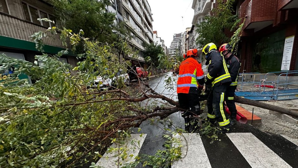 Intervención de los bomberos por fuertes rachas de viento.- Ical