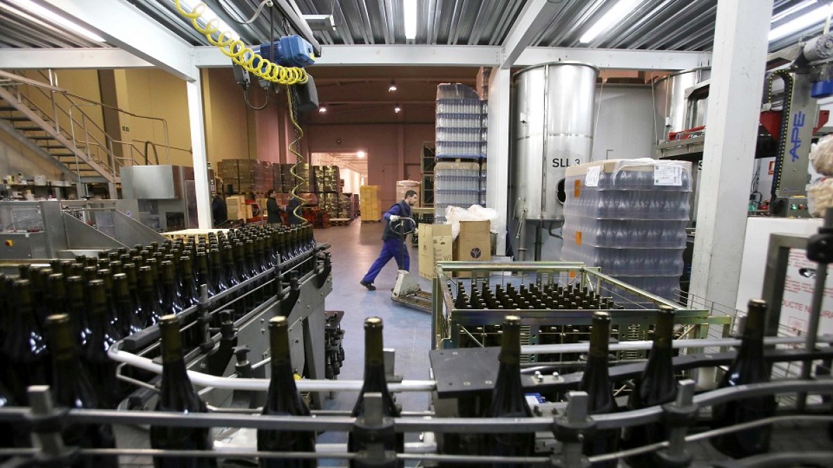 Línea de embotellado en una bodega de Castilla y León. / ICAL