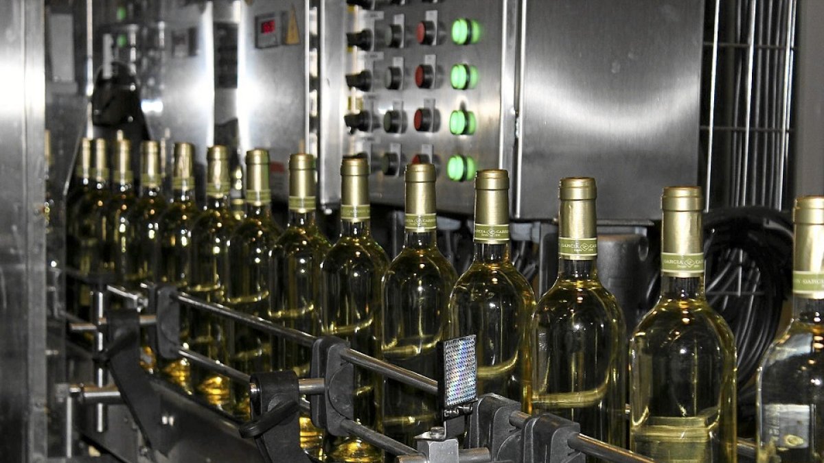 Embotelladora en una bodega de Castilla y León. EL MUNDO