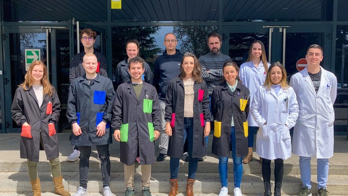 Equipo de investigación que trabaja en el proyecto. / EL MUNDO