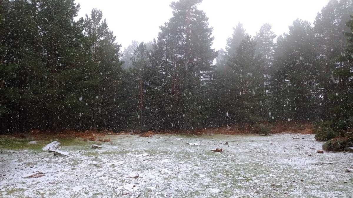 Nevadas en la localidad de Duruelo de la Sierra en Soria. HDS