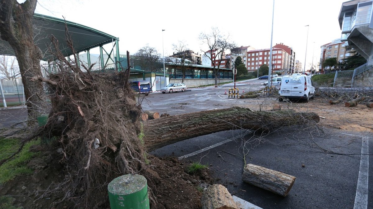Temporal de viento en Palencia.
Imagen de archivo. | E.M.