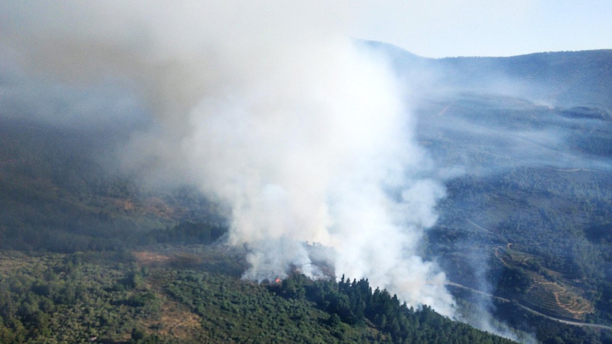 Incendio en Villanueva del Conde en Salamanca. Ical