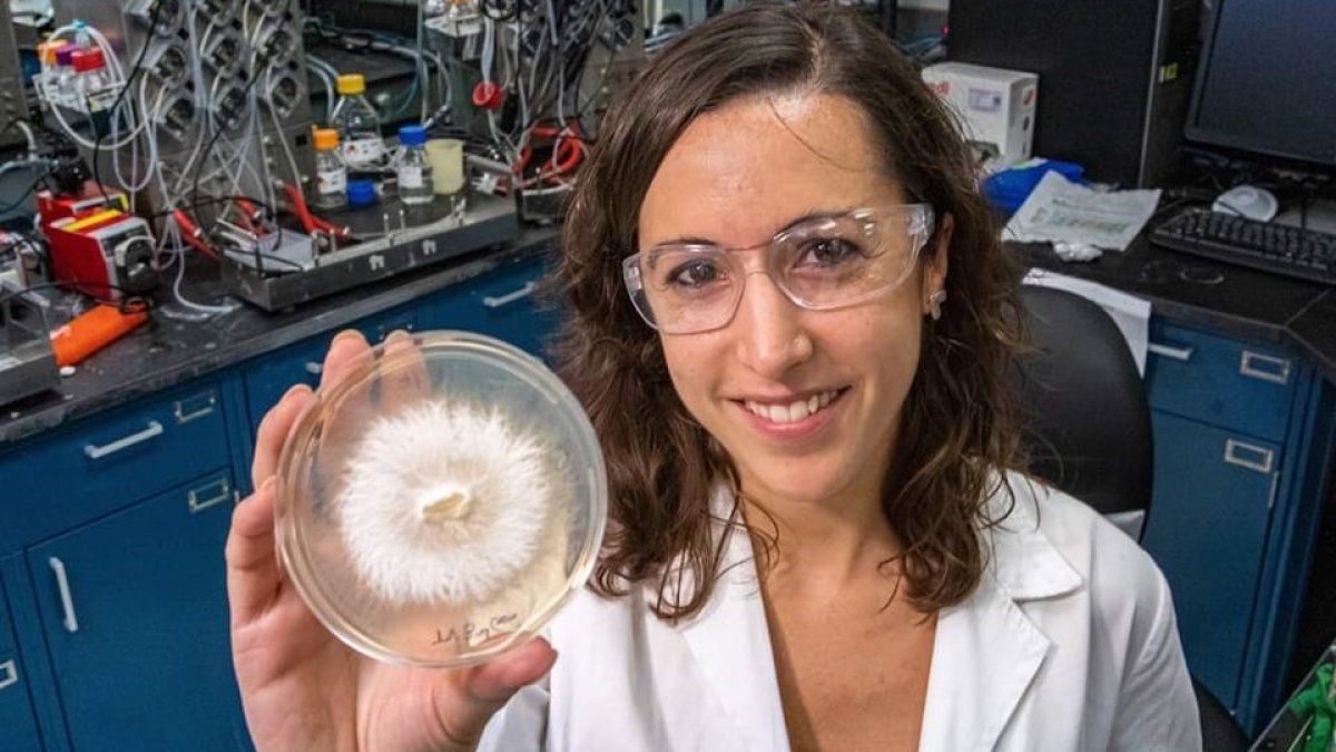 Davinia Salvachúa (E. M.)