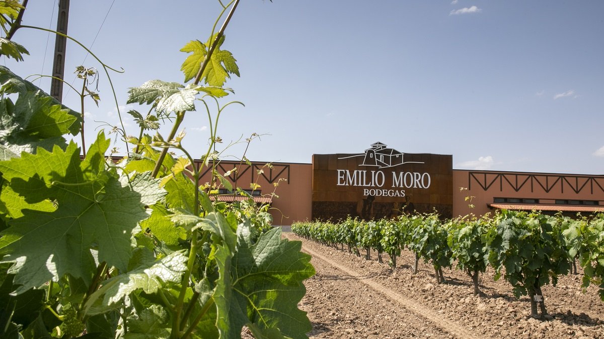 Instalaciones de bodegas Emilio Moro.- E. M.