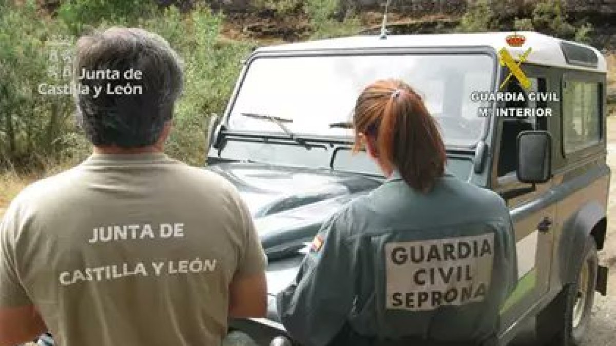 Investigación de un fuego en Robledo de Caldas .-GUARDIA CIVIL