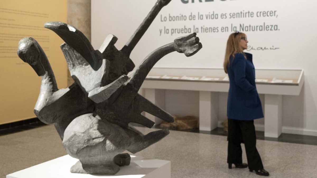 Detalle de la exposición en la sala Santo Domingo. | ICAL