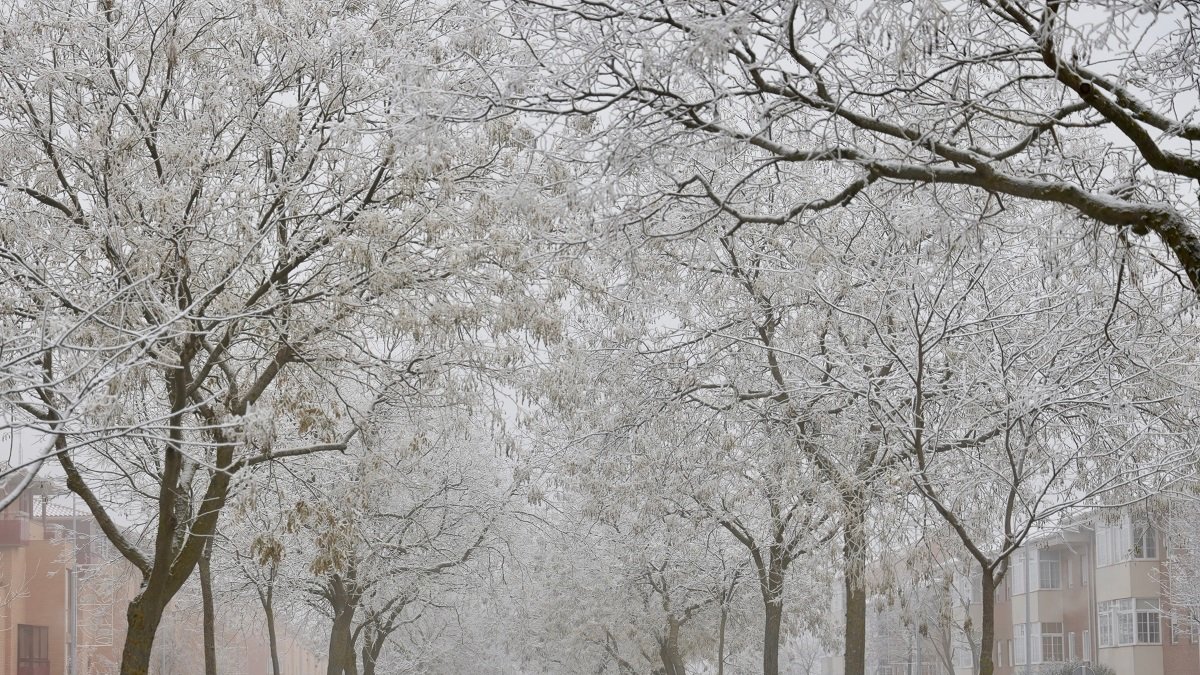 Niebla y hielo en Salamanca. -ICAL.