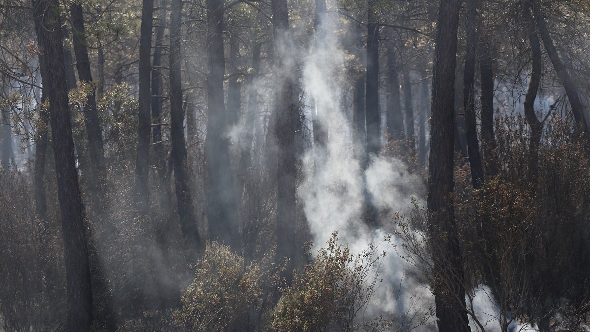 Incendio por la comarca de Tábara. - ICAL