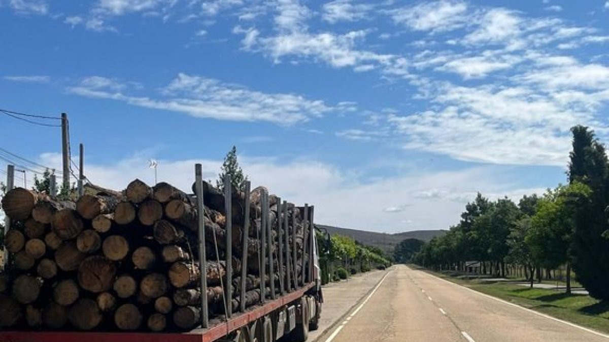 Camión cargado con madera quemada en uno de los incendios de la Sierra de la Culebra -E.M.