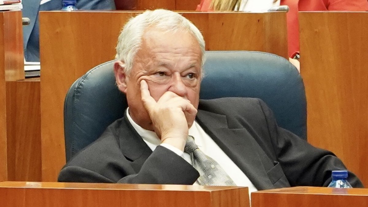 El consejero de Cultura, Turismo y Deporte, Gonzalo Santonja, durante el pleno de las Cortes.- ICAL