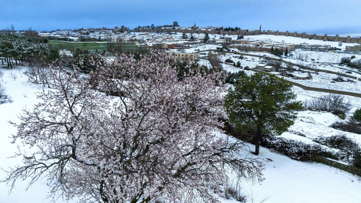 Nieve en Ávila. -ICAL