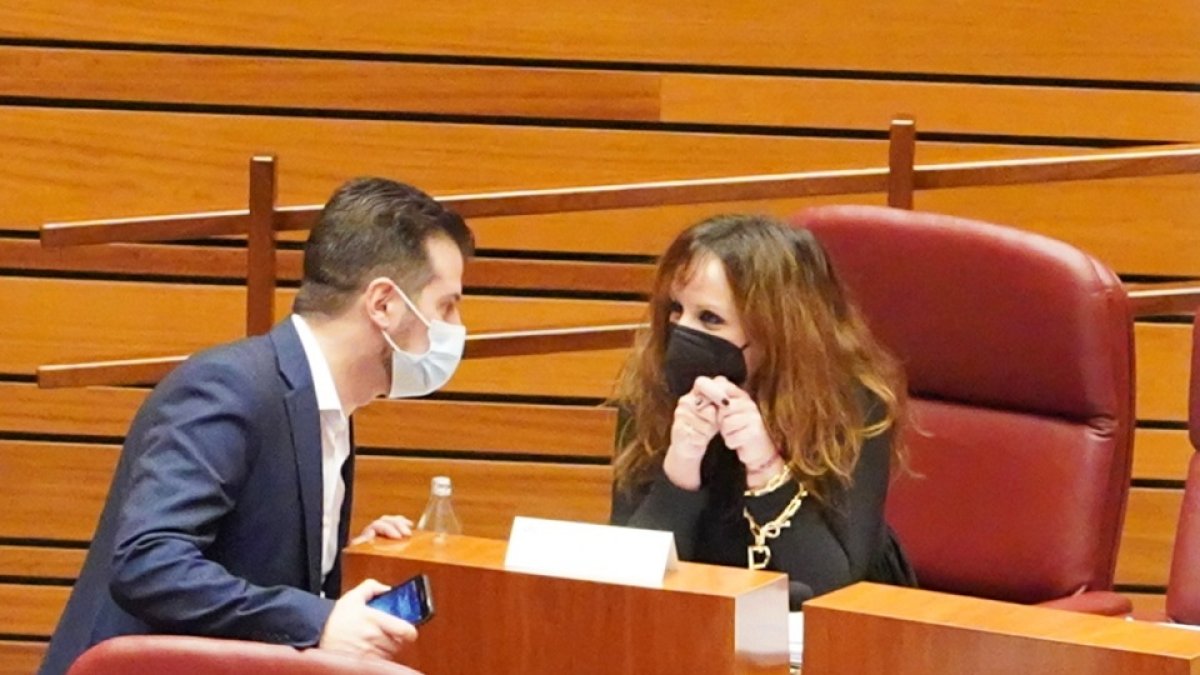 Los socialistas Luis Tudanca y Patricia Gómez durante el Pleno de las Cortes de los Presupuestos Generales de la Comunidad. / ICAL