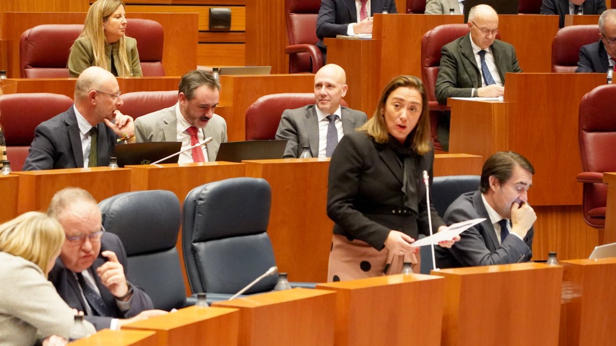 La consejera de Movilidad y Transformación Digital, María González Corral, durante el pleno. ICAL