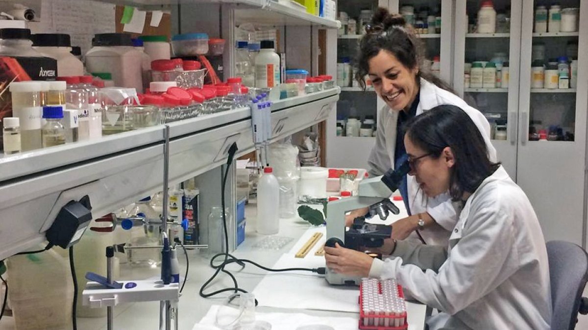 Aida Rodríguez y Rosa Ana López, en el laboratorio de la Universidad Politécnica de Madrid. E.M.
