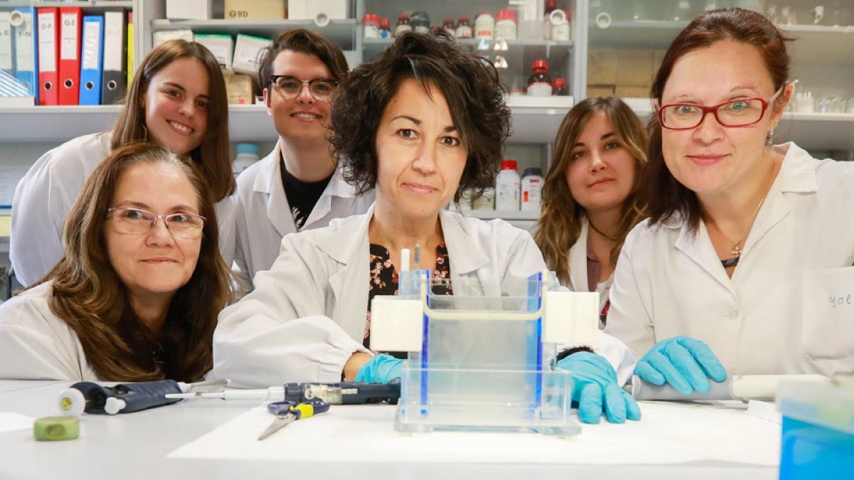 Investigadores en las instalaciones del Instituto de Biología y Genética Molecular de Valladolid (J. M. LOSTAU)