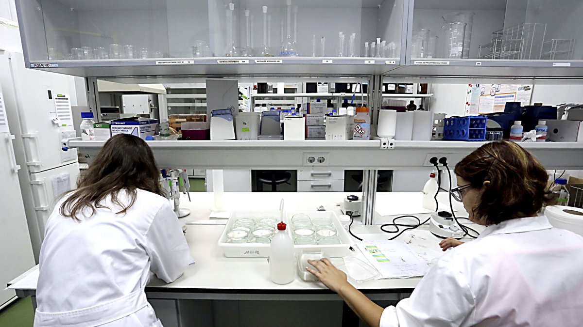 Dos investigadoras en un laboratorio de Castilla y León.-ICAL