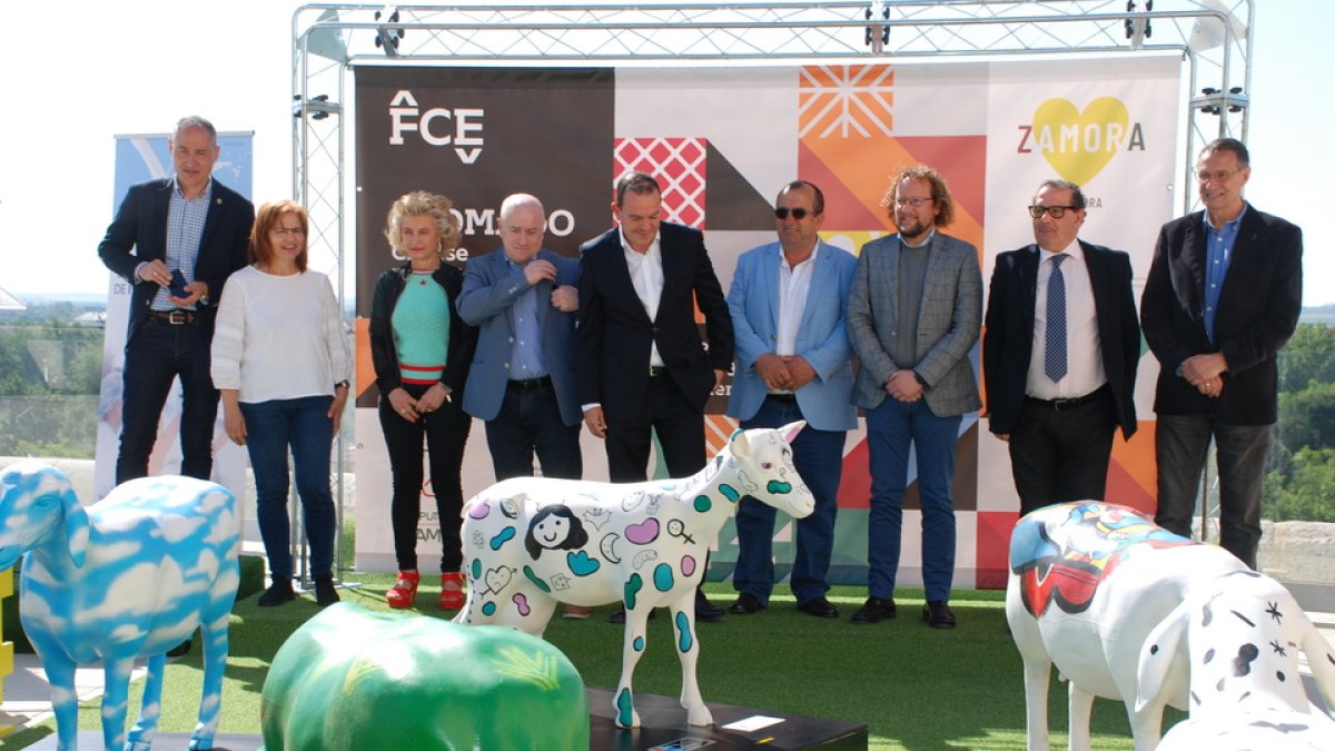 Presentación de la exposición 'Ovejas de Fromago' en Zamora. / DIP ZAMORA