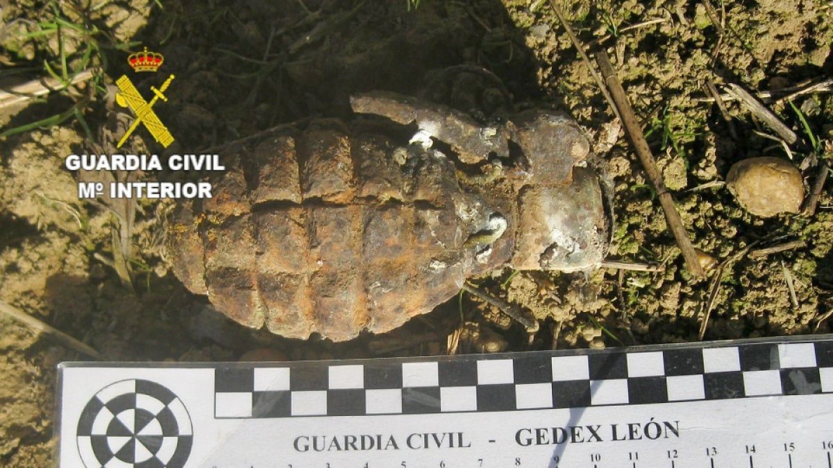 Imagen de la Guardia Civil del estado de la ganada de mano. / E.M.