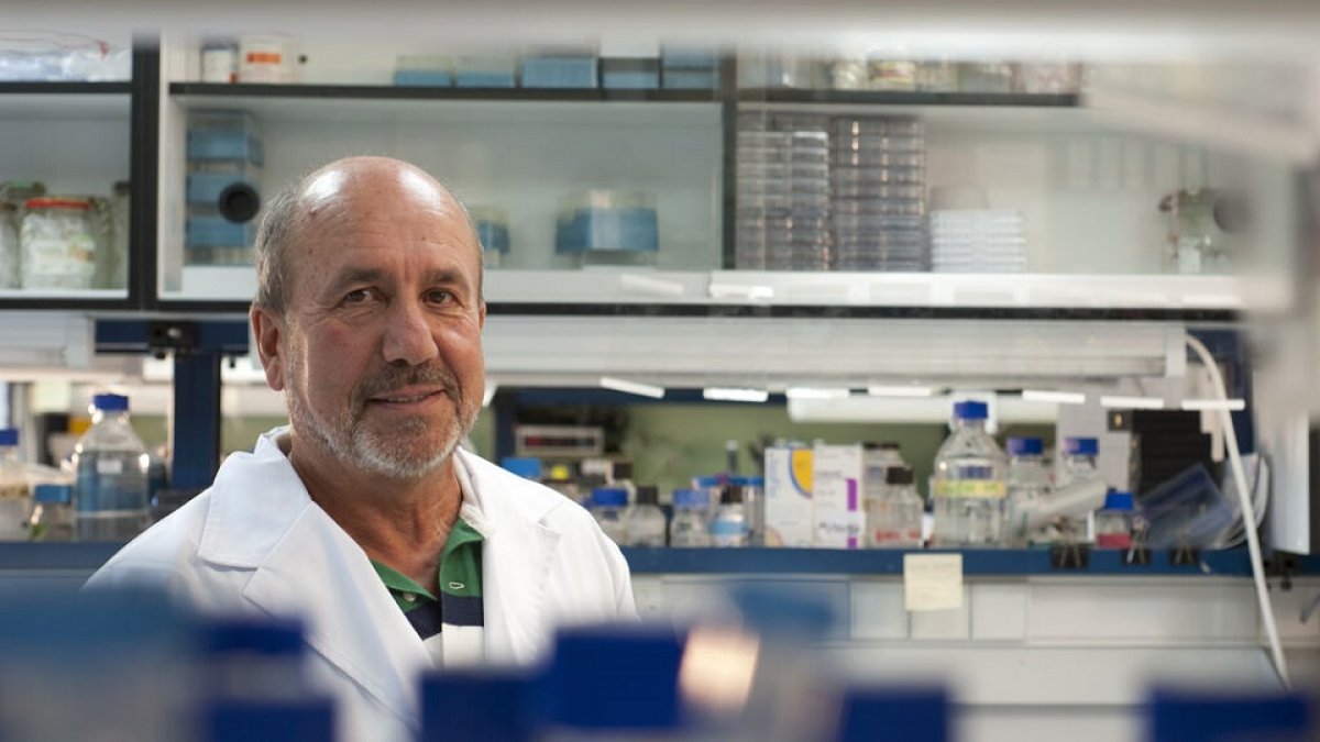 .- XIOMARA CANTERA / CSIC COMUNICACIÓN