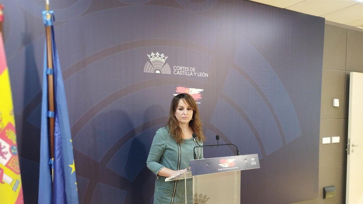 La portavoz adjunta del Grupo parlamentario Socialista en las Cortes de Castilla y León.- E. PRESS
