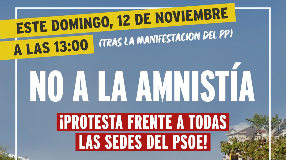 Cartel publicado por VOX en sus redes sociales.- E. M.