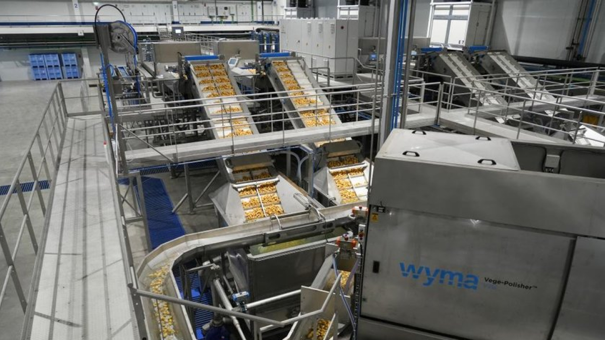 Proceso de envasado de patata en una industria de Castilla y León. J.M. LOSTAU