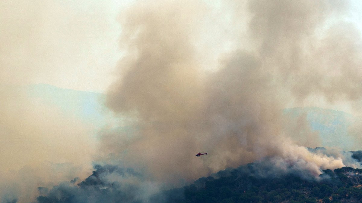 Incendio en Cebreros, Ávila.- ICAL