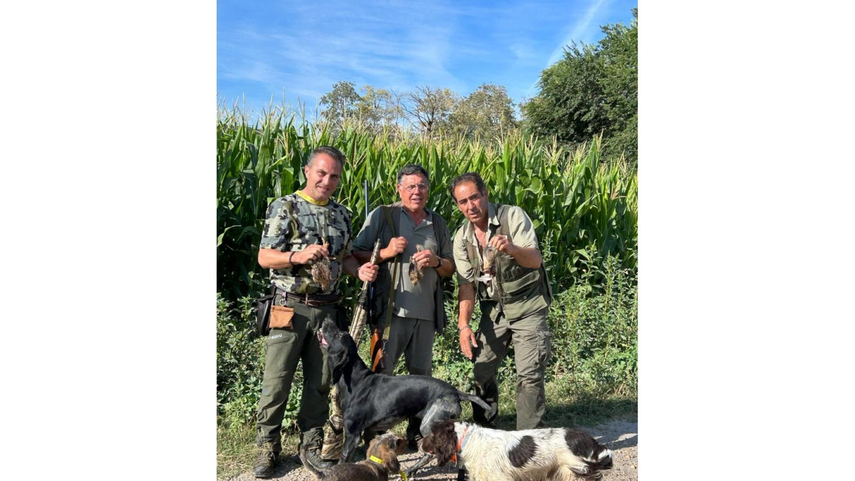 CAZADORES DE ALDEAMAYOR