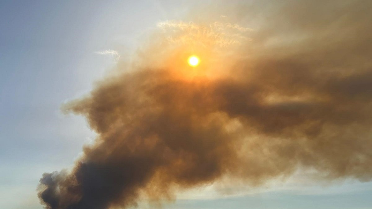 La Junta vuelve a declarar el nivel 2 el incendio de Losacio (Zamora) por afección a la población.- ICAL