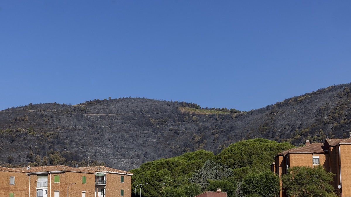 Cebreros, Ávila.- RICARDO MUÑOZ
