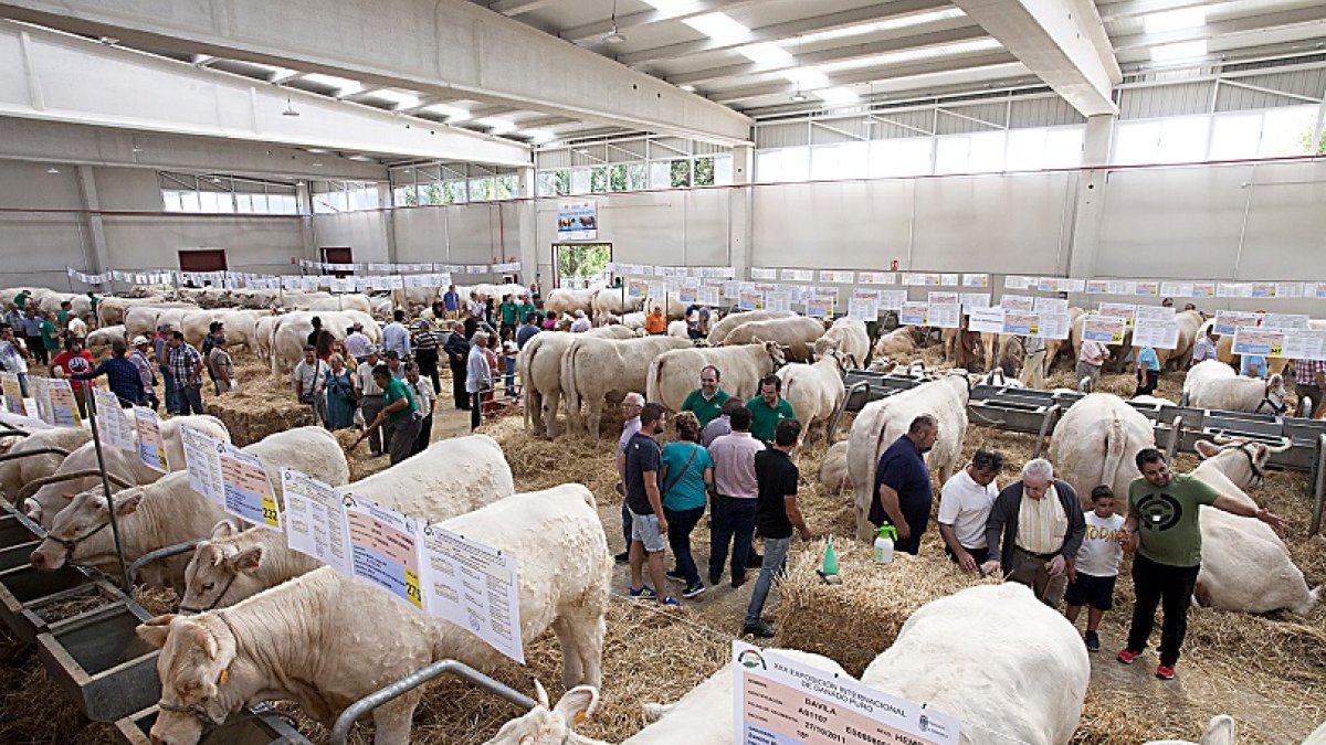 Feria Salamaq en una imagen de archivo.