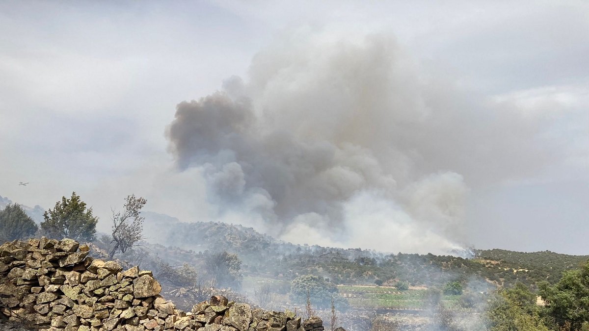 Incendio en San Juan de la Nava (Ávila).- E. M.