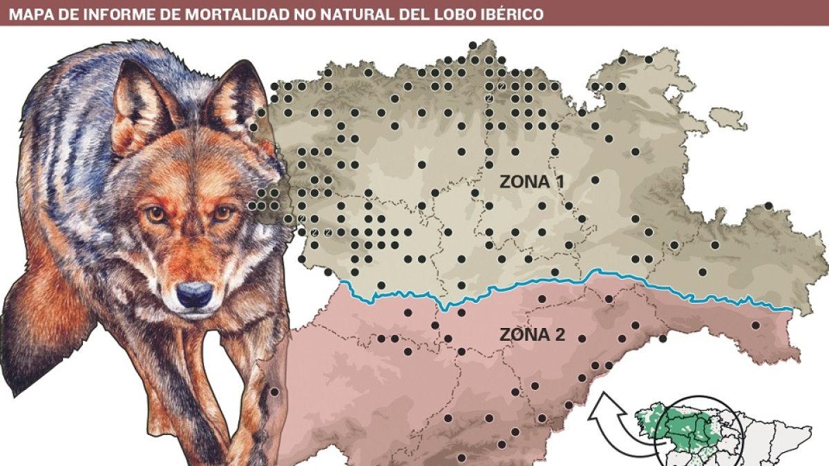 Imagen 200506 Ataque lobos (repetido de ene (83351251)_page-0001