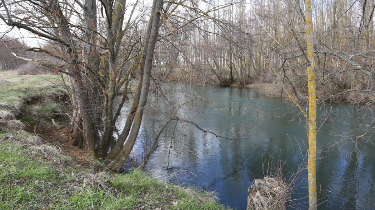 Zona del río Carrión, en Husillos, donde apareció el cadaver. | ICAL