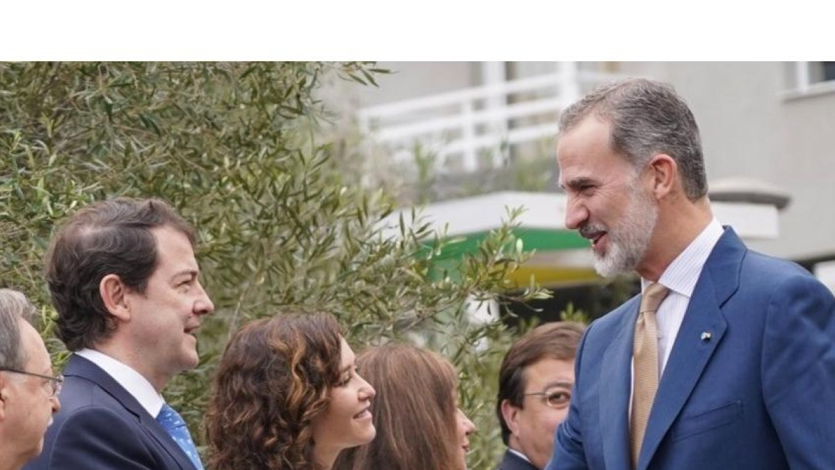 Alfonso Fernández Mañueco saluda al Rey Felipe VI, antes de la Conferencia de Presidentes en La Palma. ICAL