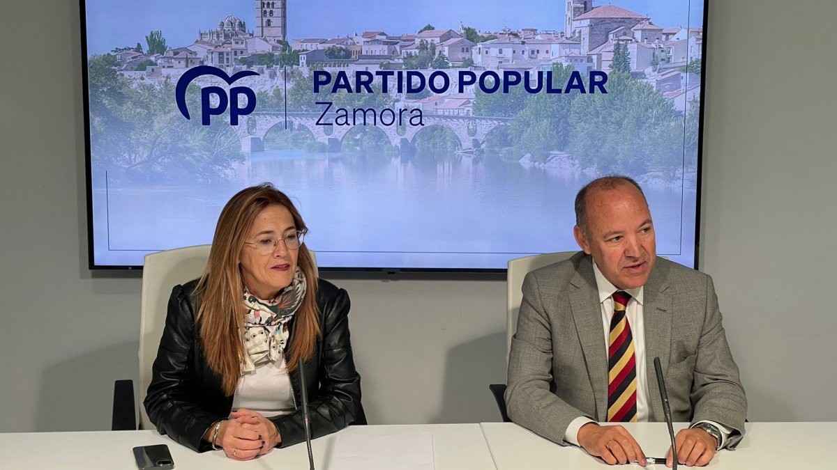 Mayte Martín anuncia su renuncia al acta de concejala del Ayuntamiento de Zamora ante el aumento de sus responsabilidades en el Senado. ICAL