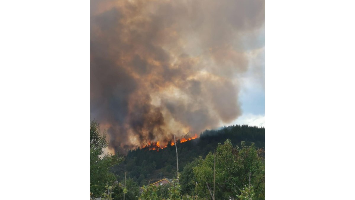 Incendio en las inmediaciones de Vega de Espinareda. E.M.