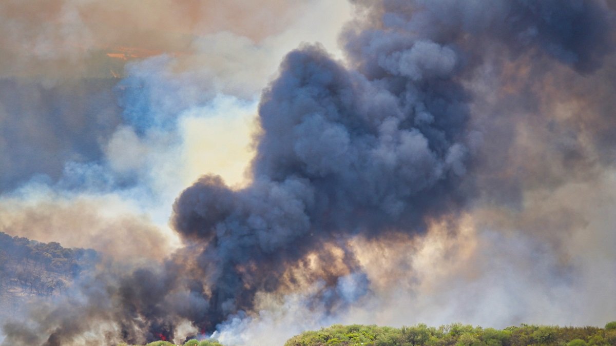 Incendio en Figueruela de Arriba, en la Sierra de la Culebra.- ICAL