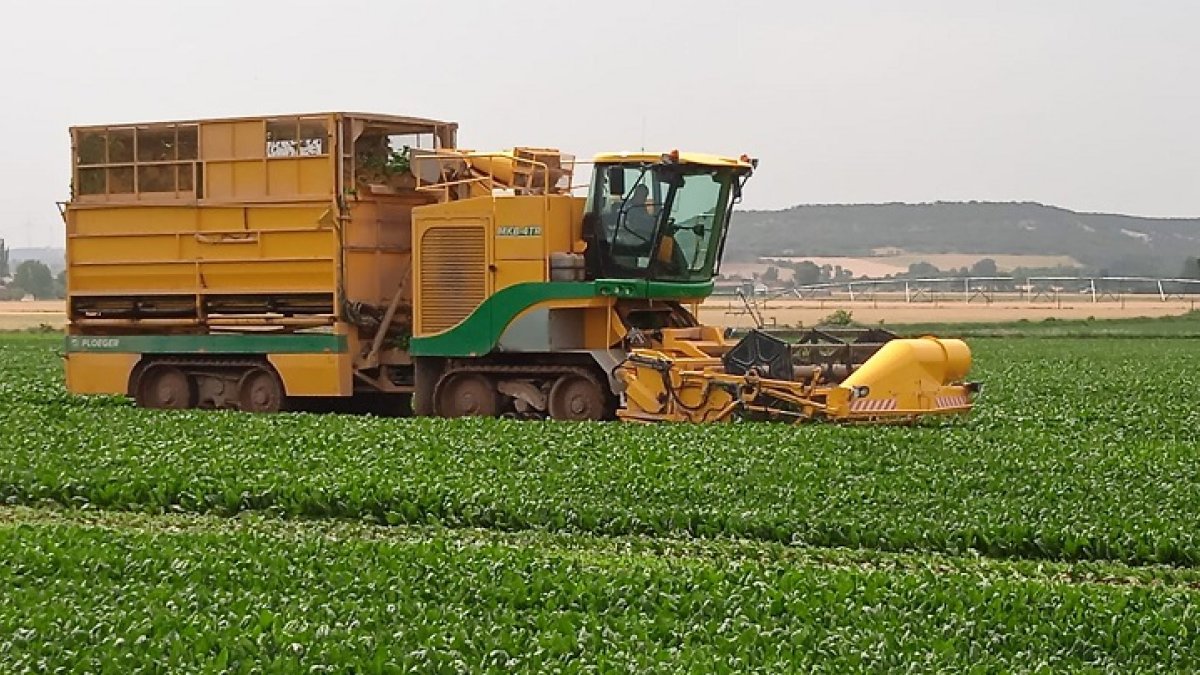 comunidad-regantes-almazan