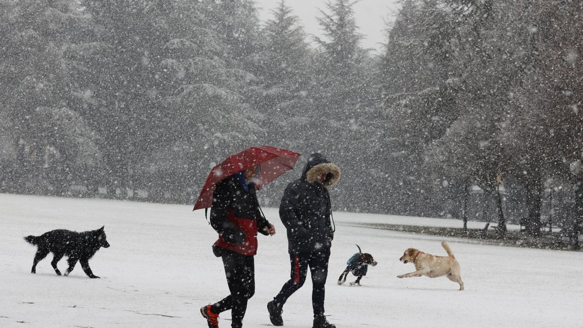 Nieve en la capital soriana. E.M.